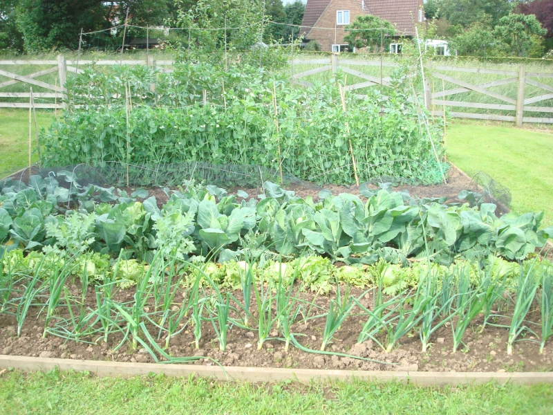 Hidden Gardens of Croft Road